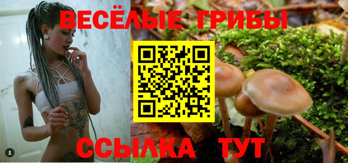 Псилоцибиновые грибы ЛСД  Галлюциногенные грибы ЛСД  Асино  Вход с VPN 
