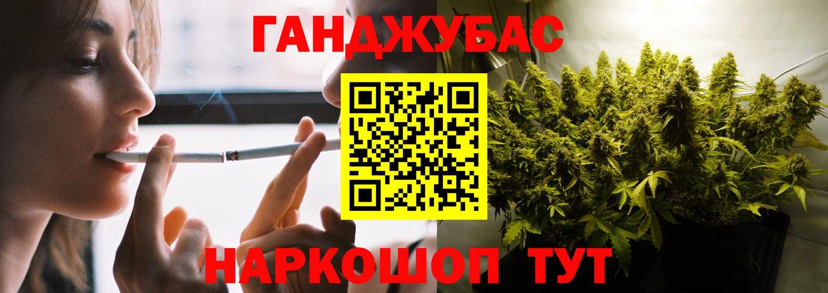 Конопля гибрид Асино